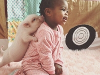 Ребенок и поросенок: История дружбы (фото)