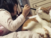 Дети и котики: Самые милые фотографии