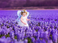 8 законов жизни: Как заставить Вселенную работать на себя