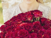 Специально к 8 марта: Как подобрать цветы по характеру