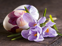 Яйца на Пасху: Самые красивые рисунки