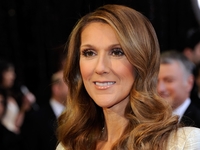 Как менялся стиль Селин Дион: 20 модных образов легендарной певицы