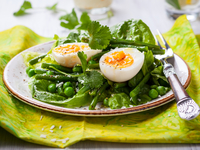 Пасхальные рецепты: Зеленый салат с яйцом