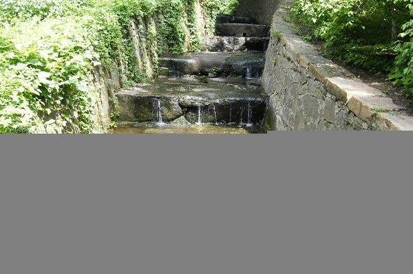 Юлия Татаренко