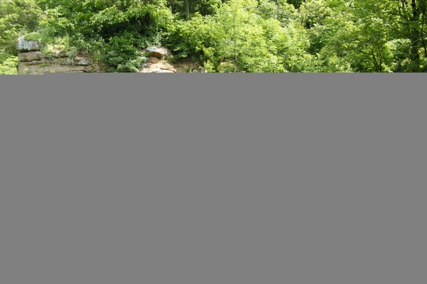 Юлия Татаренко