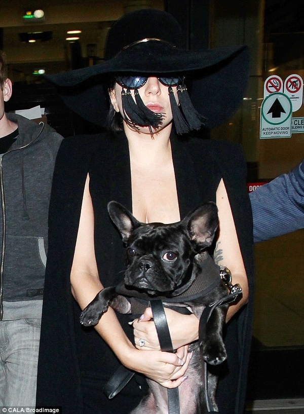 Lady GaGa удивила странными очками