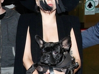 Lady GaGa удивила странными очками