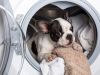 Как продлить срок службы стиральной машины: Простые советы