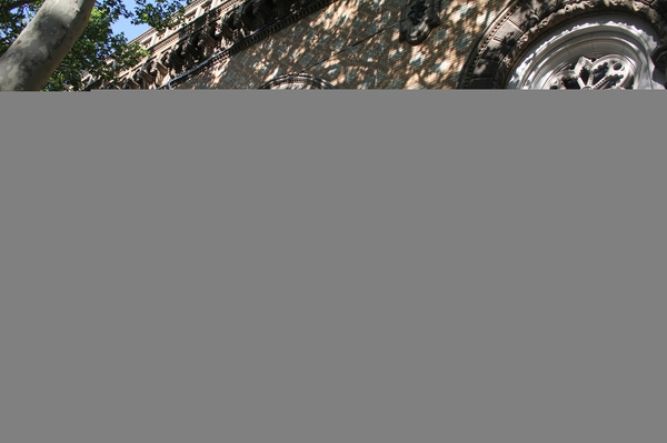 Юлия Мясоедова