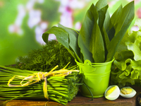 Что приготовить из черемши: ТОП-5 рецептов