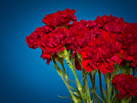 9 мая в Киеве отменили парад