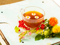 Ромашковый чай: Как правильно заваривать, целебные свойства