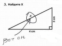Детские перлы: Гениальные ответы школьников на контрольных работах