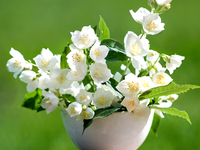 Стихи ко Дню друзей