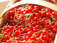 Что приготовить из красной смородины: ТОП-5 рецептов