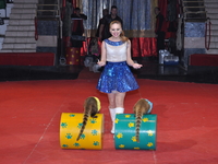 Принцесса цирка – шоу для взрослых и детей