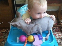 ТОП-18 фото "голодных" детей