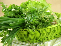 Консервирование укропа на зиму