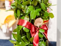 Как решиться на большие перемены?