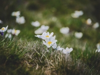 ЗНО 2015: Определены результаты теста по биологии