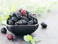 Шелковица: Полезные свойства и рецепты