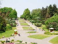 Куда пойти с ребенком в Киеве летом: Ботанические сады столицы