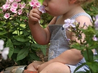 Как назвать девочку в августе