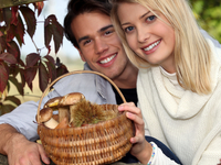 Можно ли беременным есть грибы