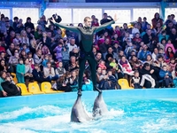 Куда пойти с ребенком в Киеве: Дельфинарий и океанариум столицы