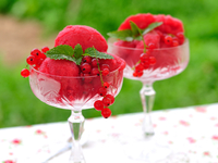 Как приготовить сорбет из красной смородины