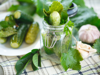 Как приготовить малосольные огурцы на хлебе