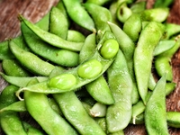 Ученые из США убеждены, что соя делает женщин бесплодными