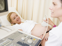 Как протекает беременность во время первого триместра