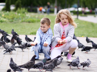 Почему голуби опасны для ребенка