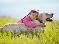 Умиление: Псу показалось, что спящему малышу холодно