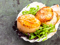 Жареные морские гребешки