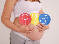 ТОП-4 факторы, которые определяют пол будущего малыша