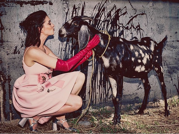 Энн Хэтэуэй позировала в фотосессии с козой