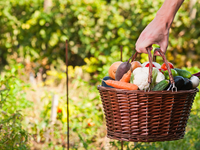 Диета при кормлении грудью: Советы эксперта