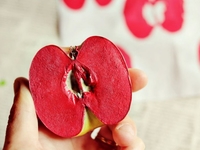 Учимся рисовать с помощью фруктов и овощей