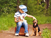 Собака прокатила малыша на игрушечном автомобиле: Милое видео