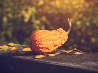 Что дарят на Хэллоуин?