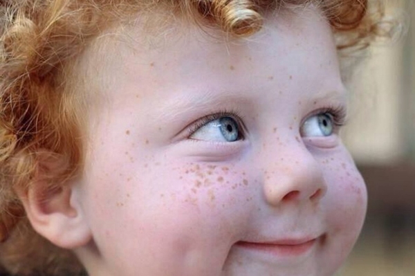 society.drypers.co.th