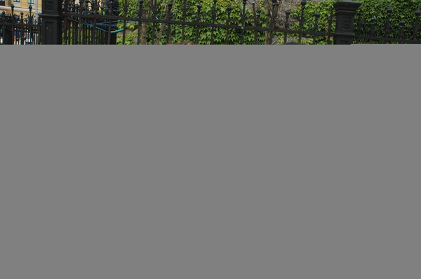 пресс-служба Нового канала