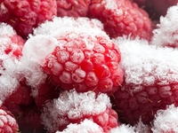 Новый Год 2016: Выходные дни в Украине