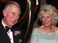 Жена принца Чарльза потребовала от него сделать тест на отцовство