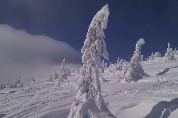 пресс-служба