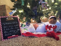 Вот так подарок на Новый год: Сестрички нашли братика под елочкой