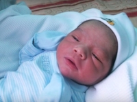 Бродячая собака спасла жизнь выброшенной новорожденной крохе