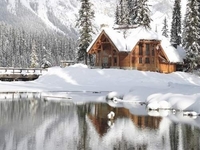 Стихи о зиме: Ахматова, Цветаева, Есенин и Асадов